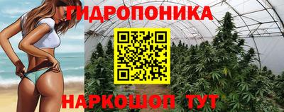 эйфоретик Дубна