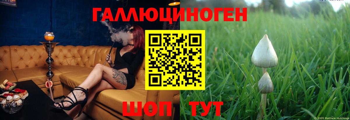Галлюциногенные грибы мухоморы  где продают наркотики  Вход с VPN  Заречный  Псилоцибиновые грибы MAGIC MUSHROOMS 